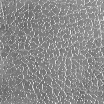 Leathergrain