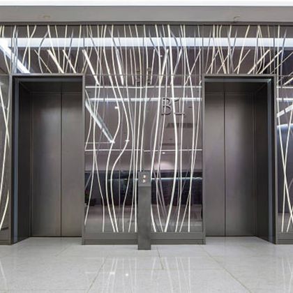 Sand Blasting Stainless Steel Elevator Decoration